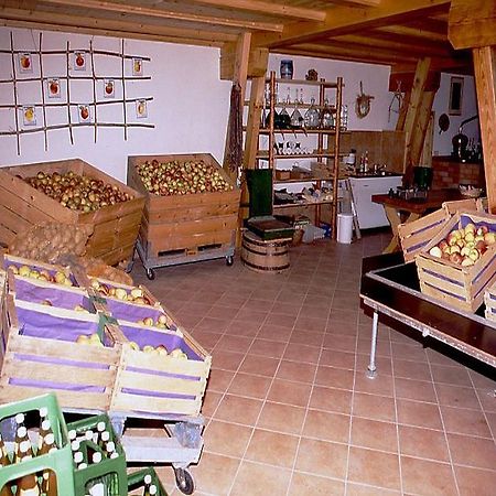 Ferienwohnung Aichem Радолфцел ам Бодензее Екстериор снимка